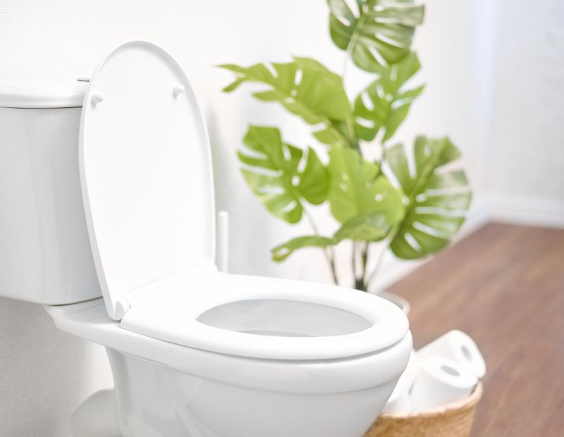 Broken Toilet Repair in Columbus, OH