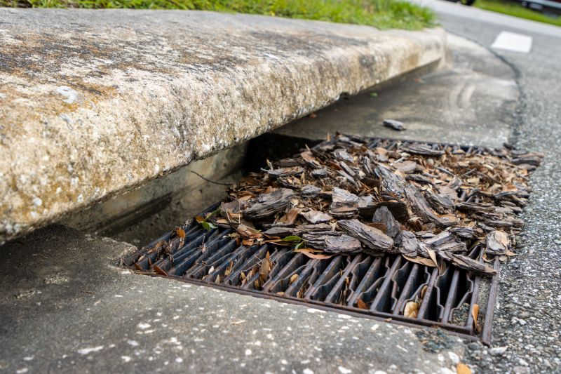 Drainage Unblocking in Denver, CO